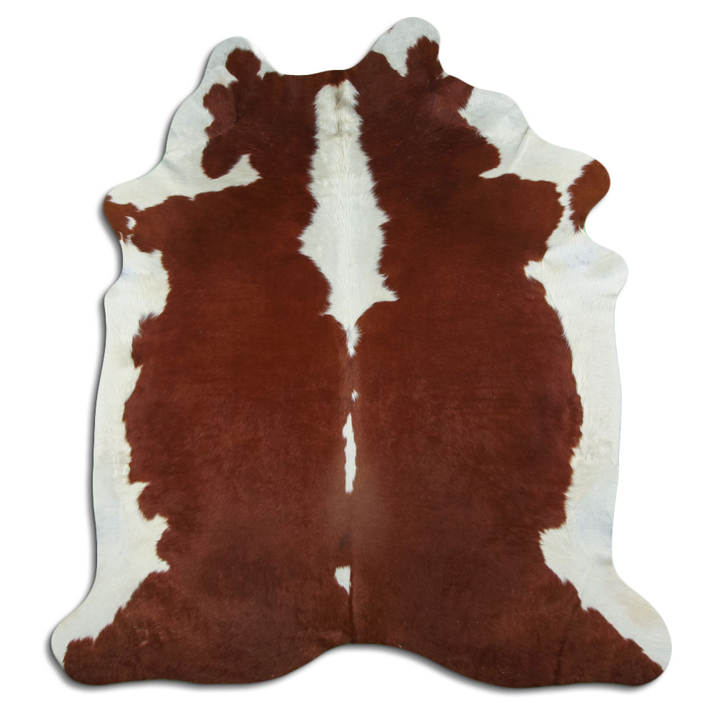 Hereford 3 - 4 M Grade A