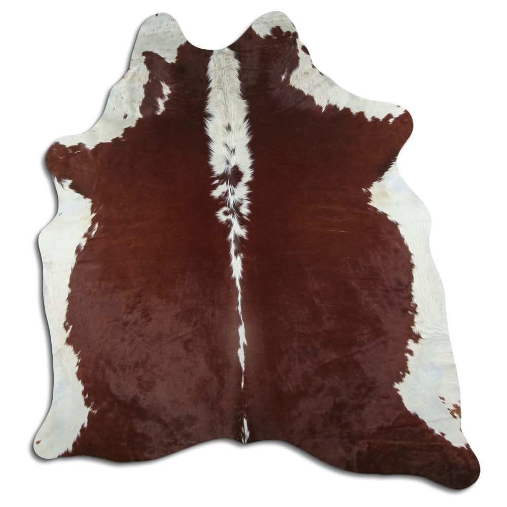 Hereford 3 - 4 M Grade A