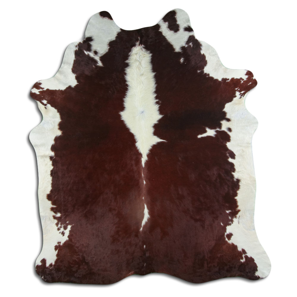 Hereford 3 - 4 M Grade A