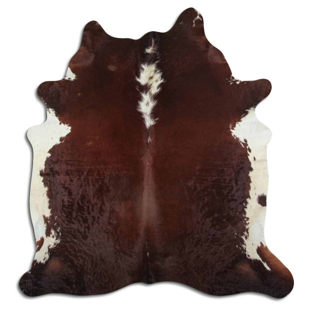 Hereford 3 - 4 M Grade A