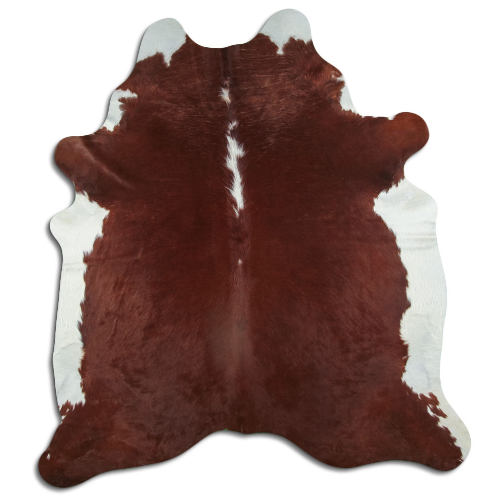Hereford 3 - 4 M Grade A