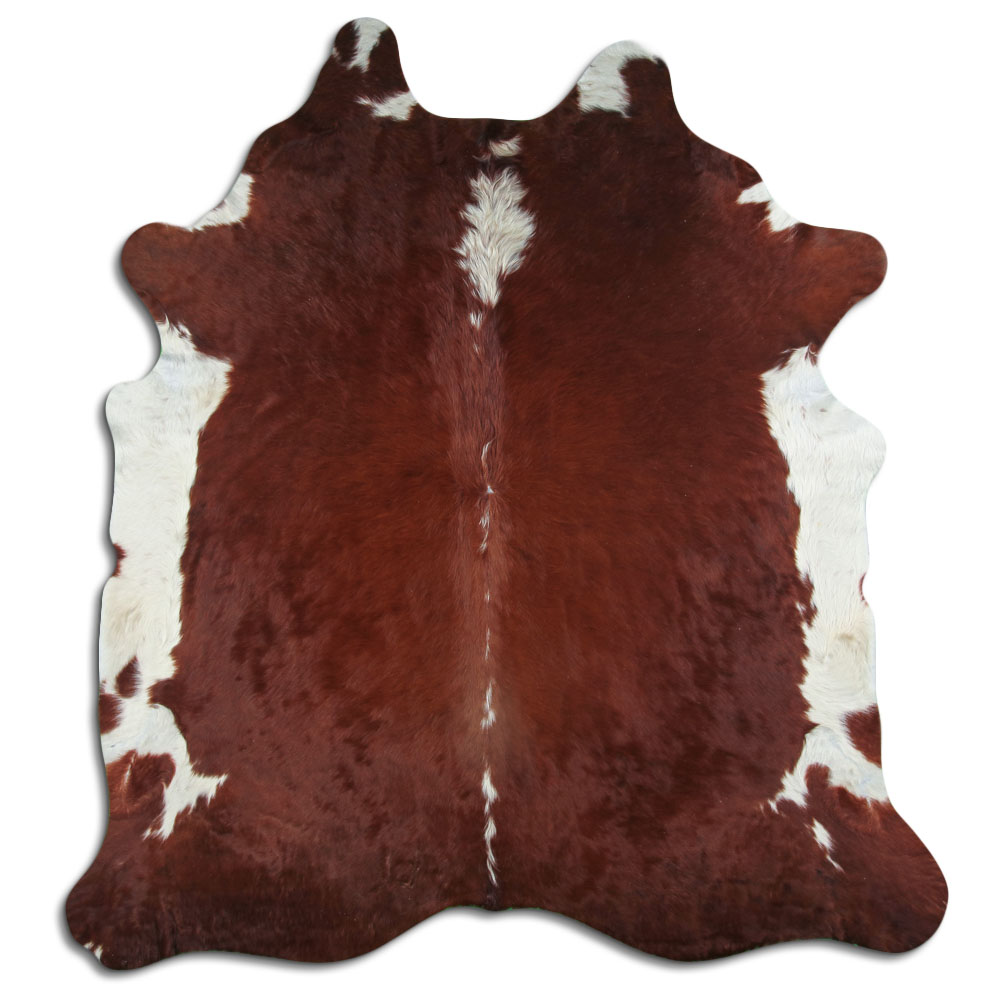 Hereford 3 - 4 M Grade A