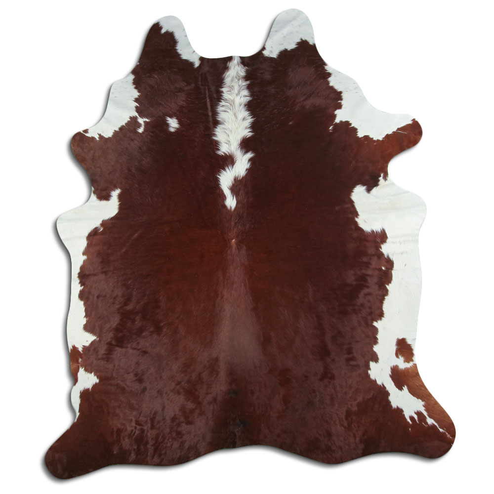 Hereford 3 - 4 M Grade A