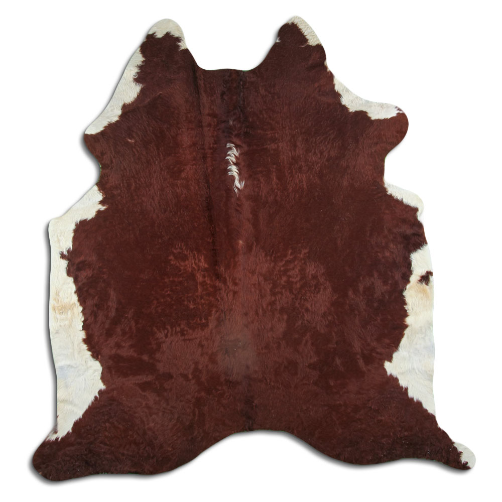 Hereford 3 - 4 M Grade A