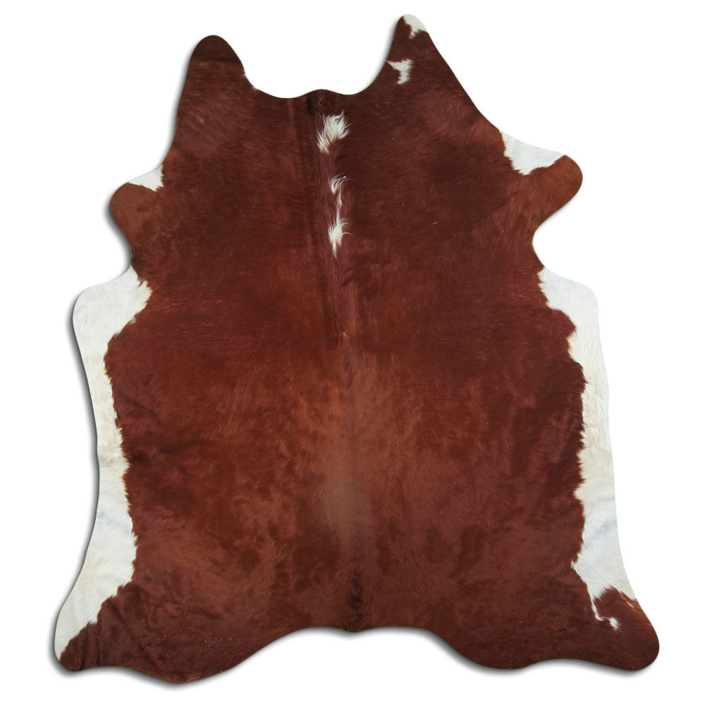 Hereford 3 - 4 M Grade A