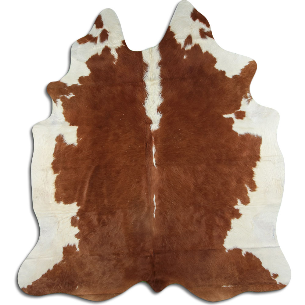 Hereford 3 - 4 M Grade A