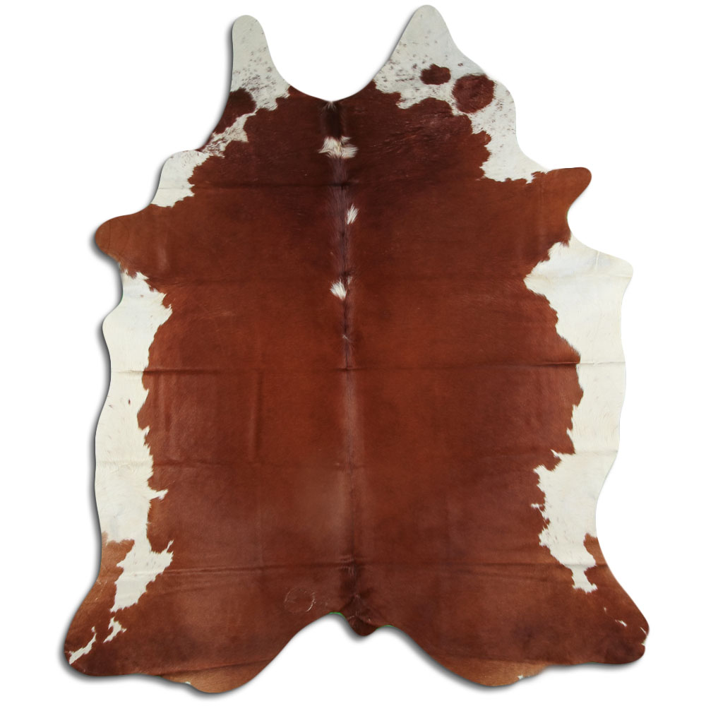 Hereford 3 - 4 M Grade A