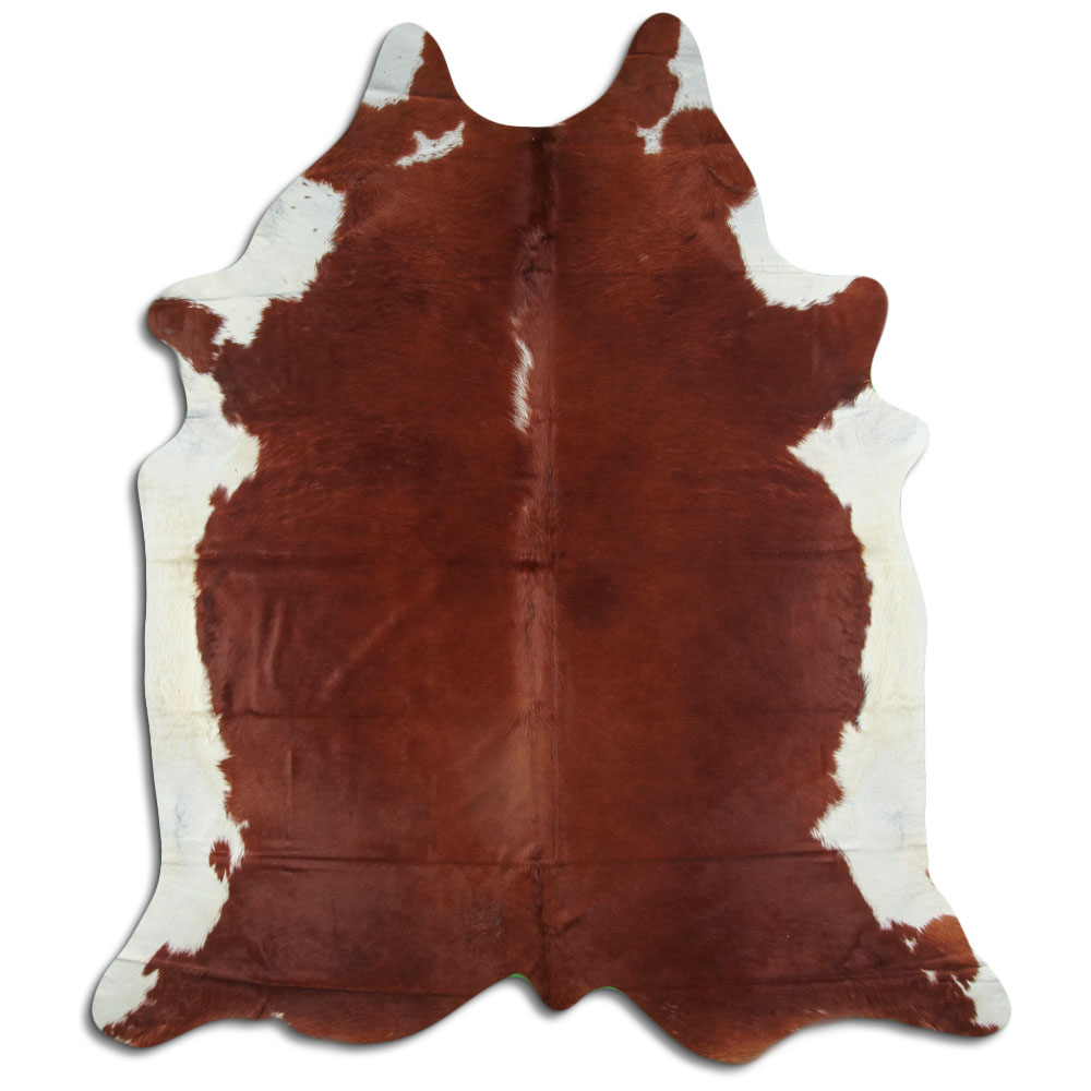 Hereford 3 - 4 M Grade A
