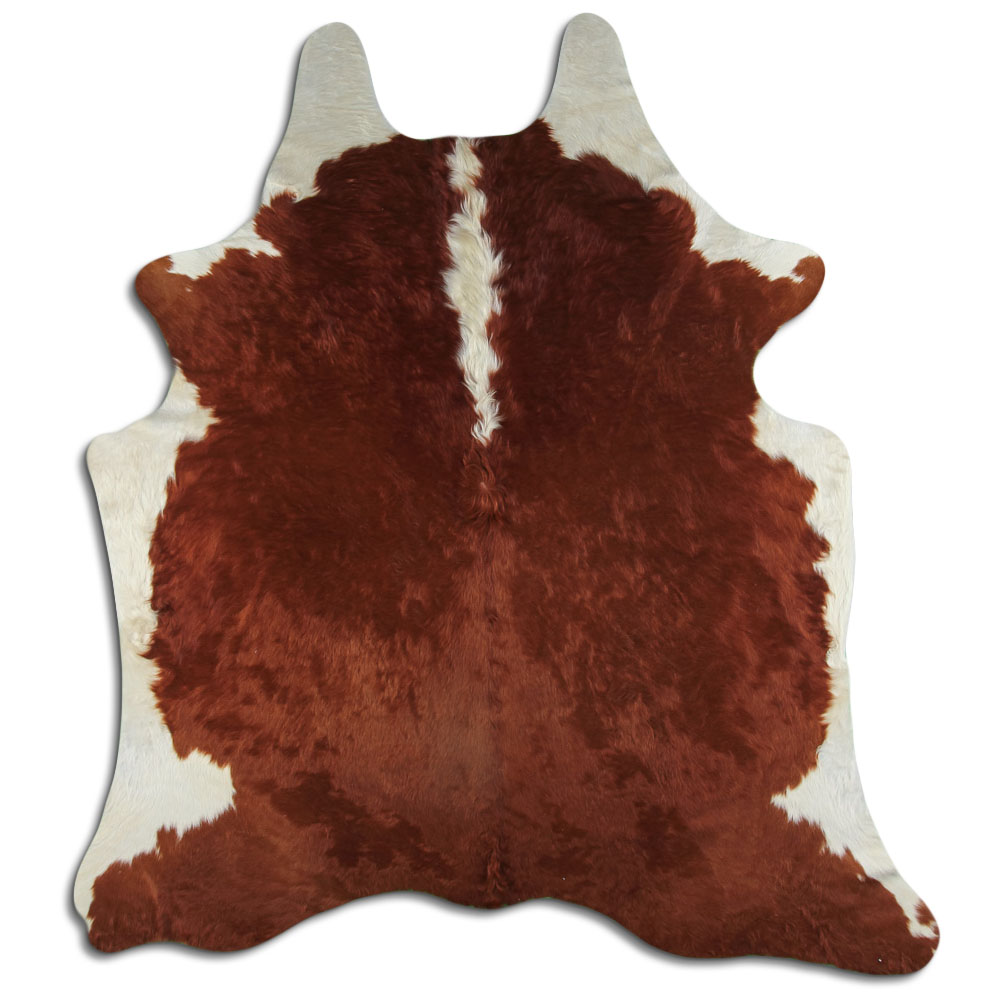 Hereford 3 - 4 M Grade A