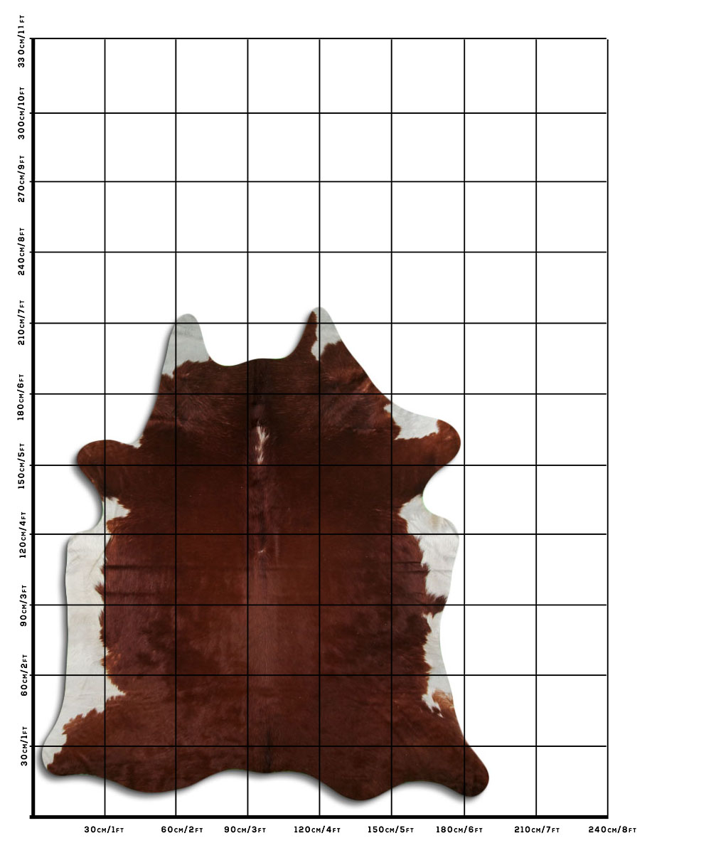 Hereford 3 - 4 M Classe A