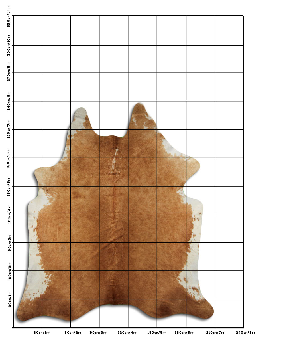 Hereford 3 - 4 M Classe A