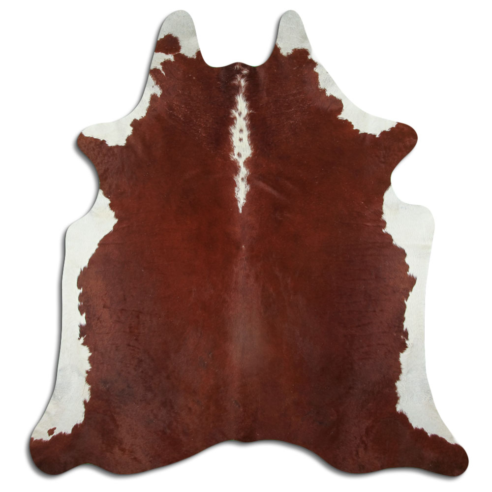 Hereford 3 - 4 M Classe B