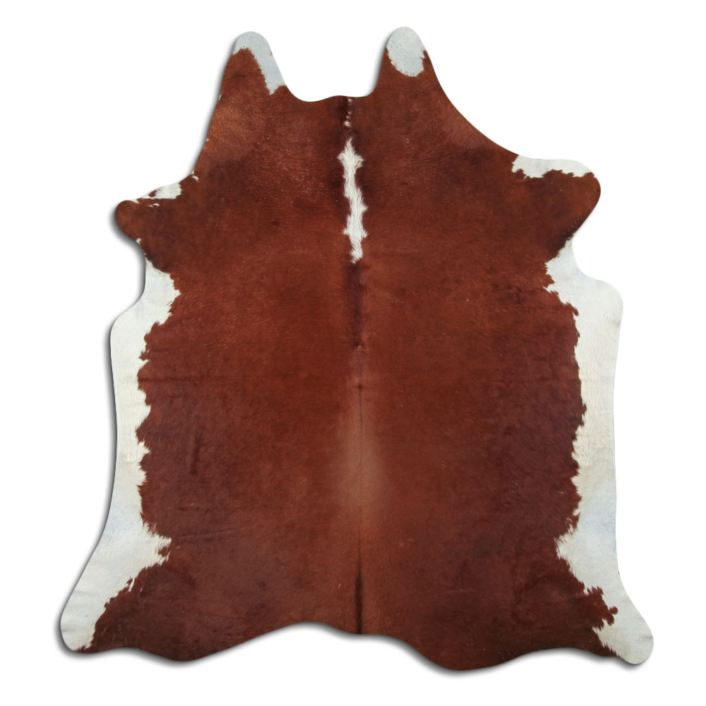 Hereford 3 - 4 M Classe B