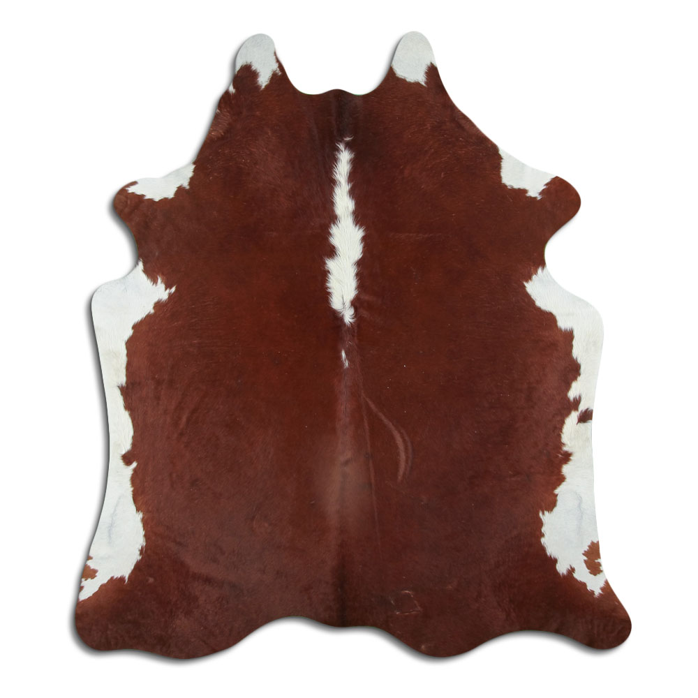 Hereford 3 - 4 M Classe B