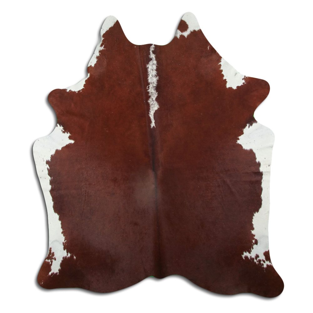 Hereford 3 - 4 M Classe B