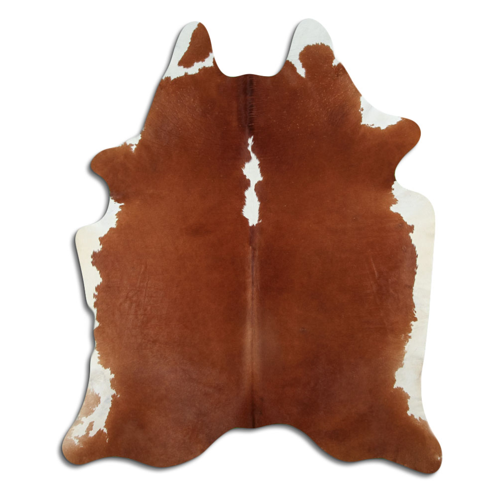 Hereford 3 - 4 M Grade B