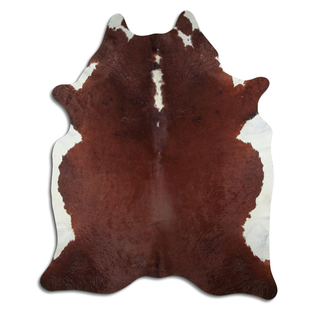 Hereford 3 - 4 M Grade B