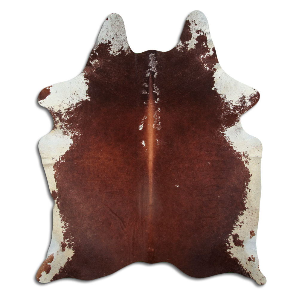 Hereford 3 - 4 M Classe B