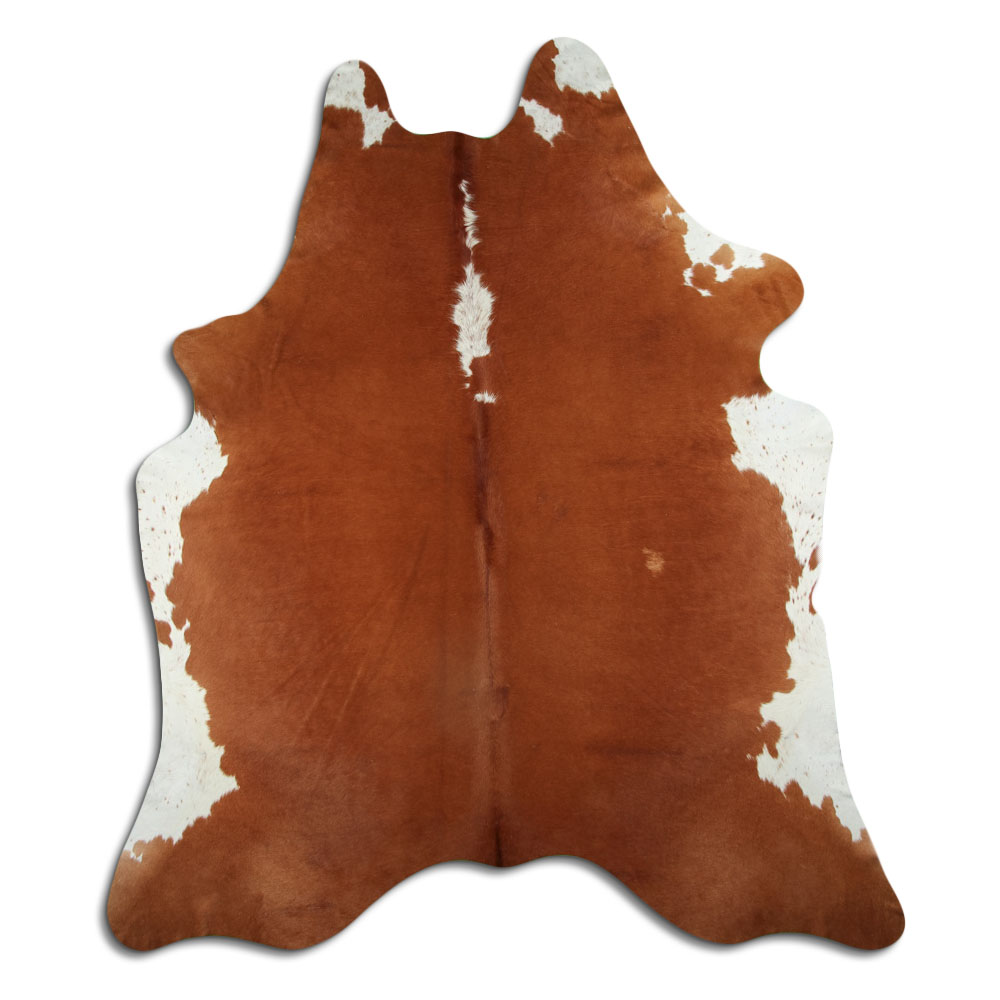 Hereford 3 - 4 M Classe B