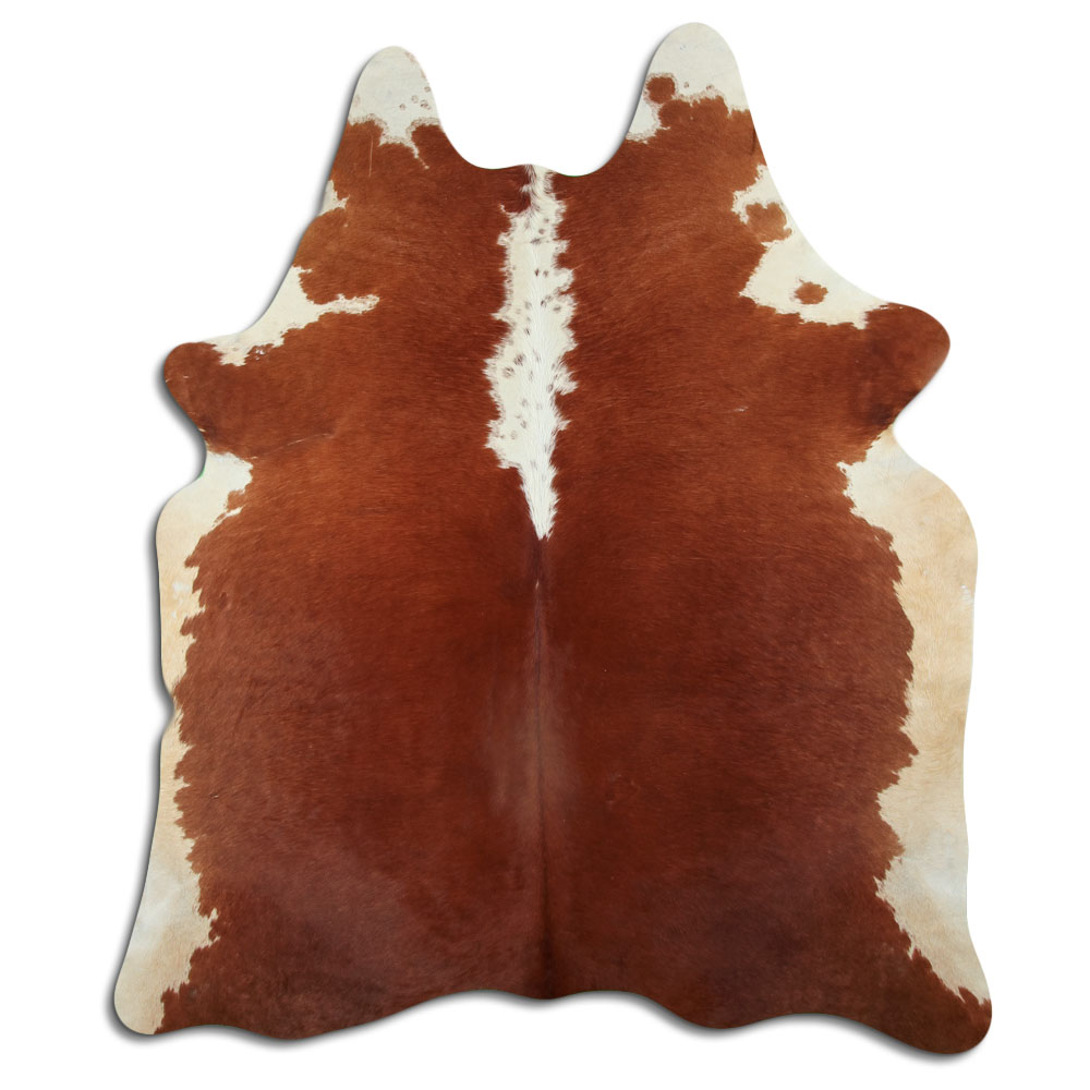 Hereford 3 - 4 M Classe B