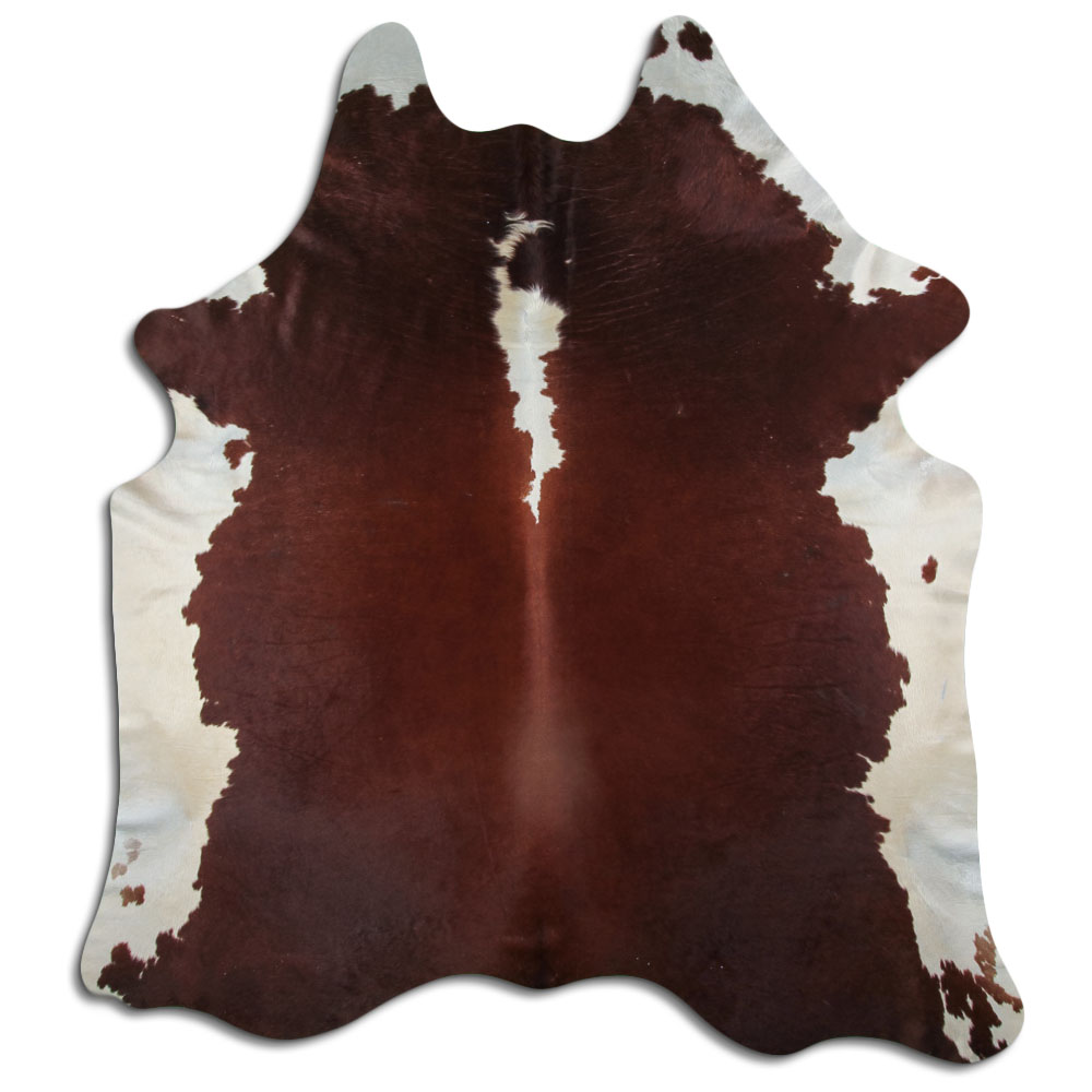 Hereford 3 - 4 M Grade B