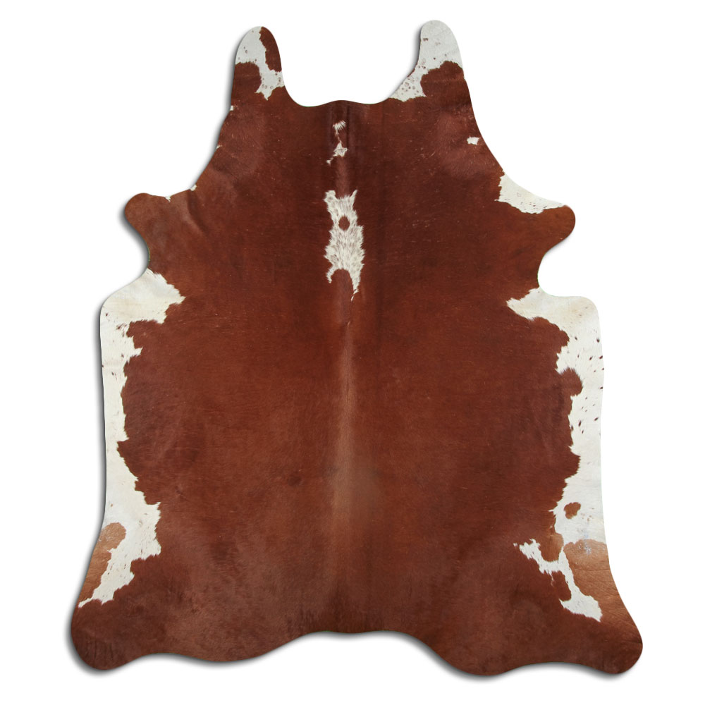 Hereford 3 - 4 M Classe B
