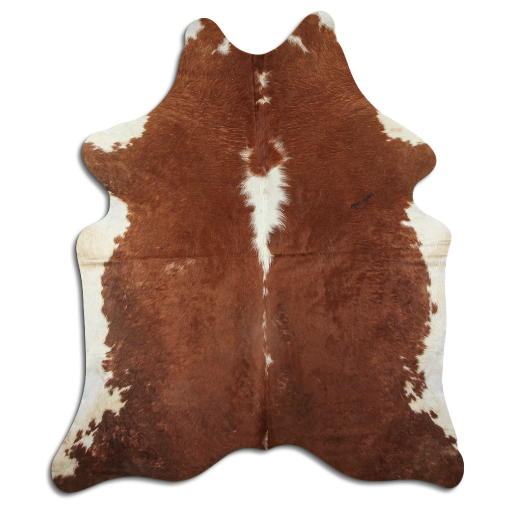 Hereford 3 - 4 M Classe B