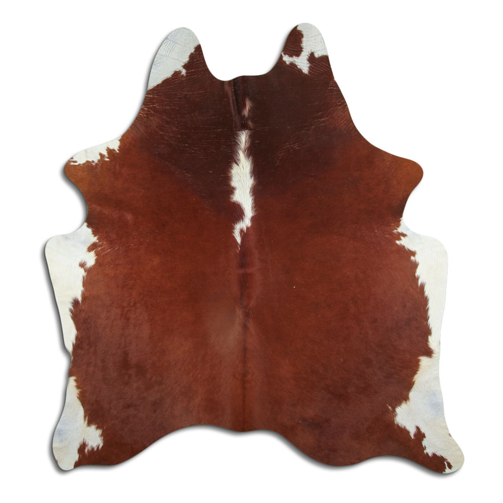 Hereford 3 - 4 M Classe B