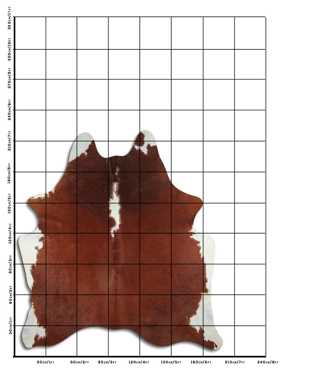 Hereford 3 - 4 M Classe B
