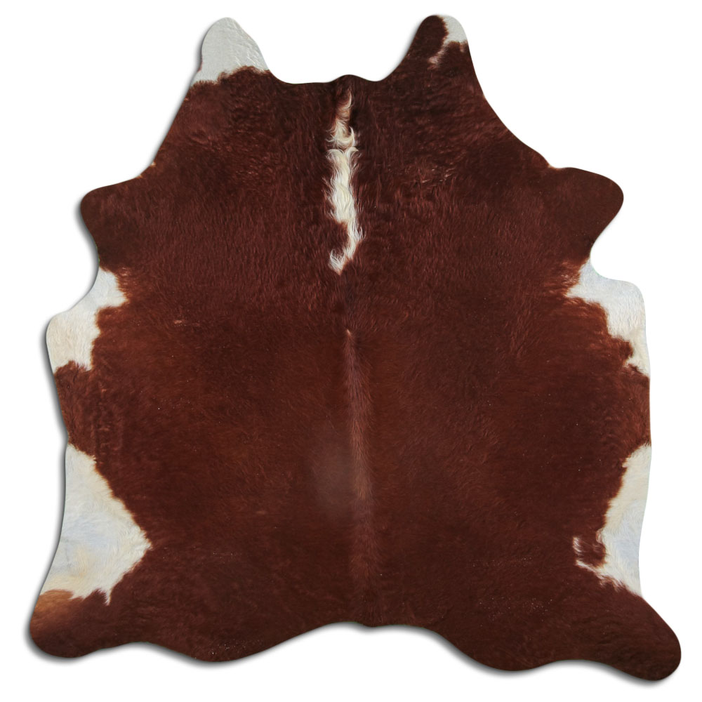 Hereford 3 - 4 M Classe B