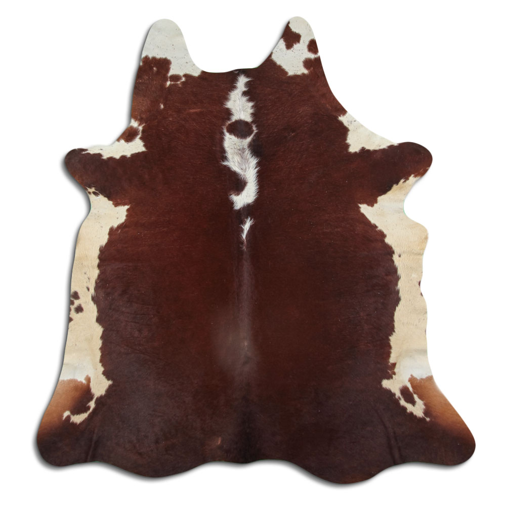 Hereford 3 - 4 M Classe B