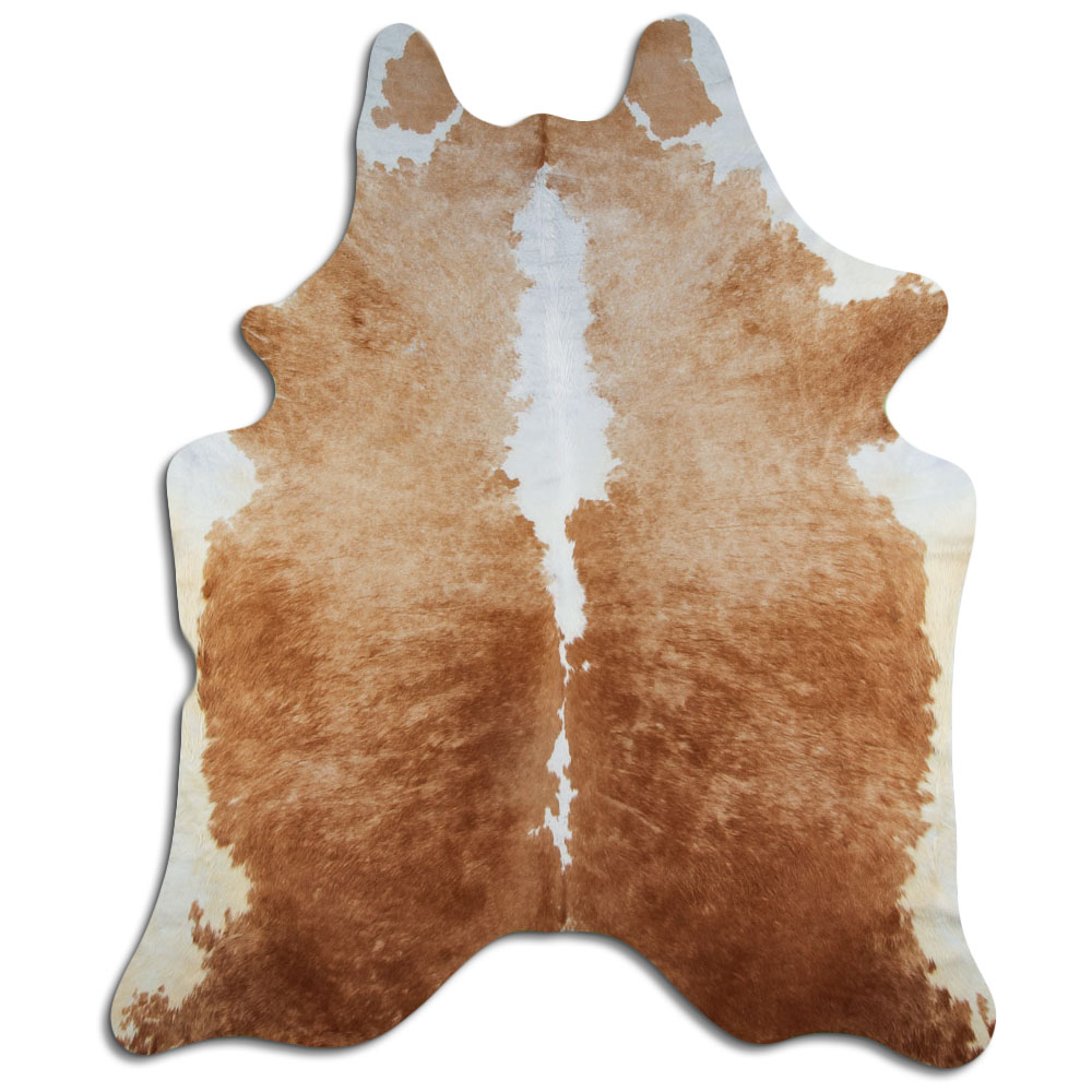 Hereford 3 - 4 M Grade B