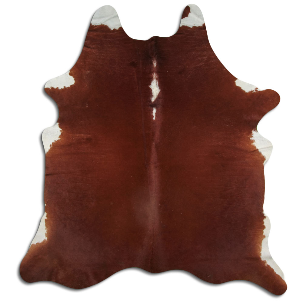 Hereford 3 - 4 M Grade B