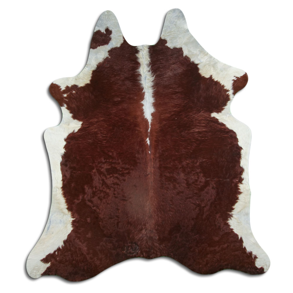 Hereford 3 - 4 M Sortierung B