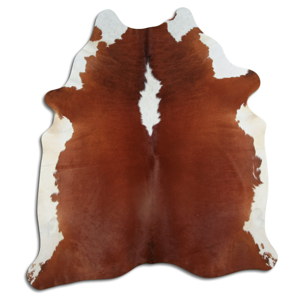 Hereford 3 - 4 M Sortierung B