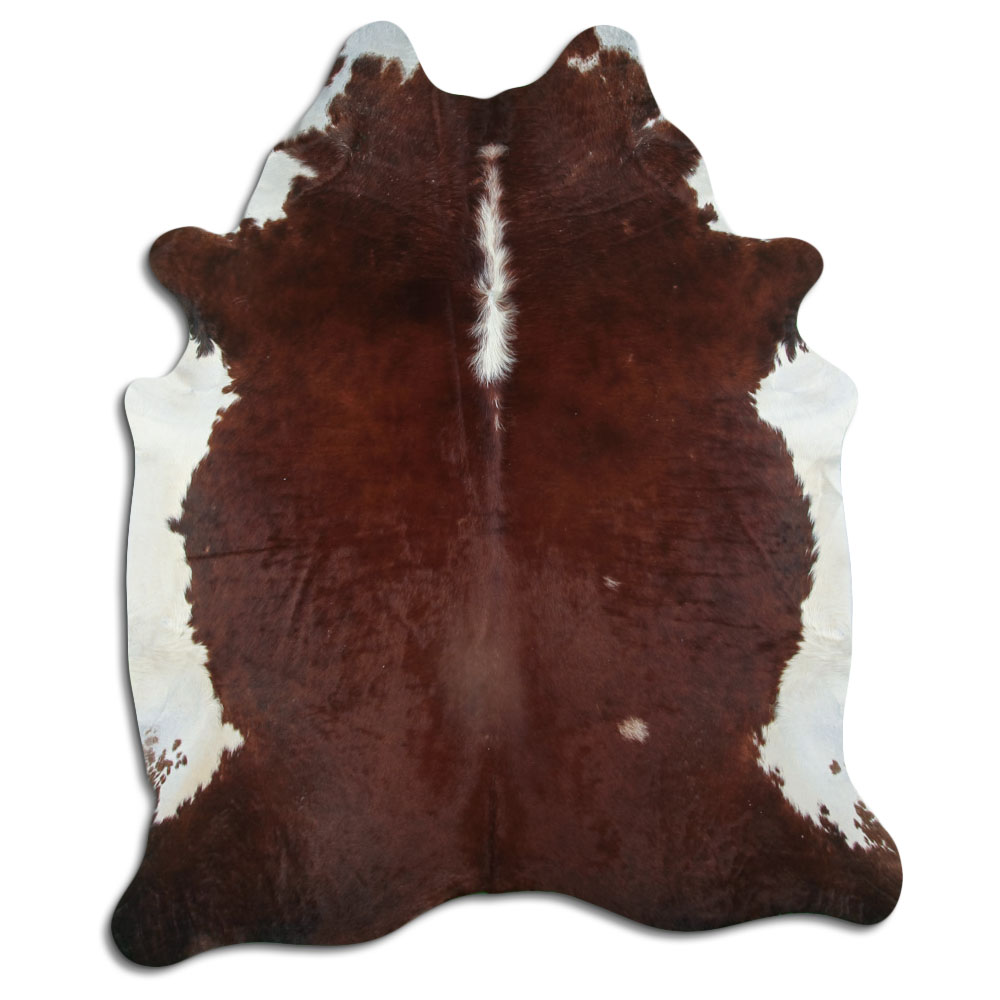 Hereford 3 - 4 M Sortierung B