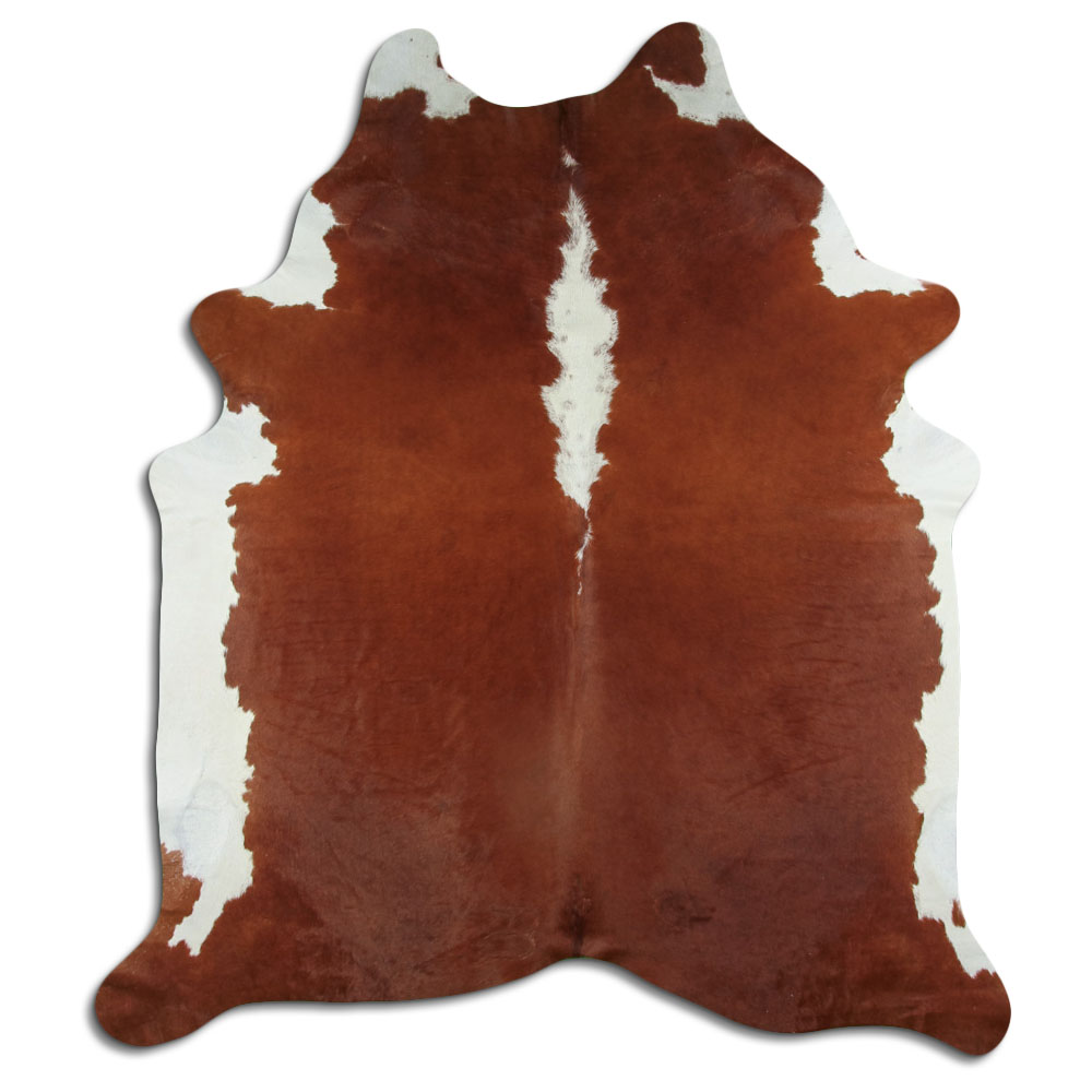 Hereford 3 - 4 M Sortierung B