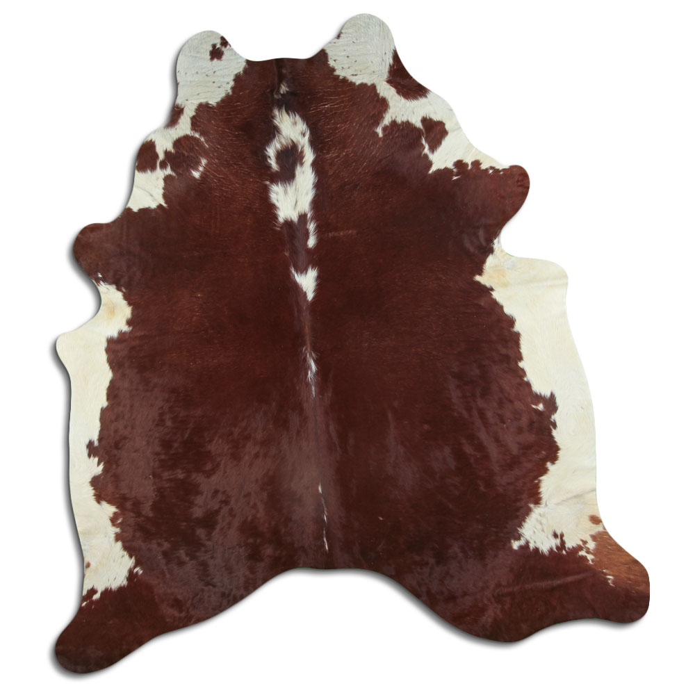 Hereford 3 - 4 M Sortierung B