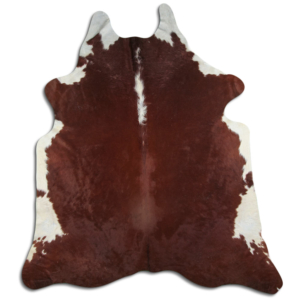 Hereford 3 - 4 M Sortierung B