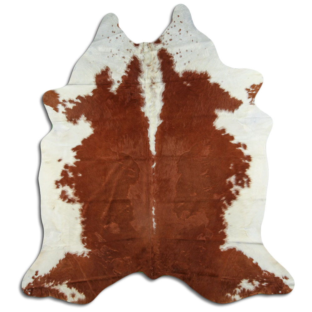 Hereford 3 - 4 M Classe B