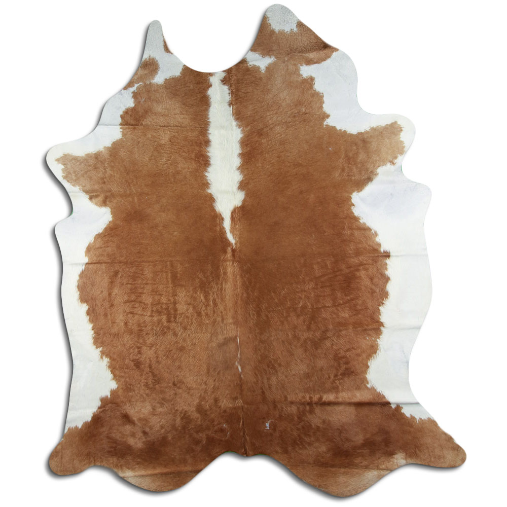 Hereford 3 - 4 M Grade B