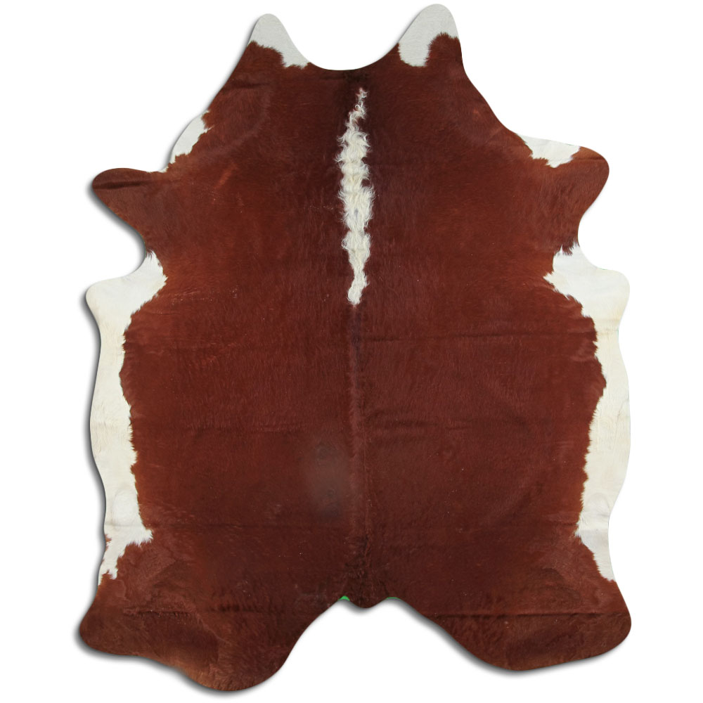 Hereford 3 - 4 M Grade B