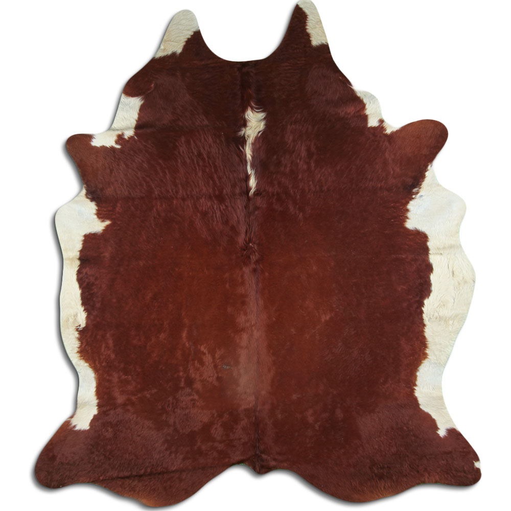 Hereford 3 - 4 M Clase B
