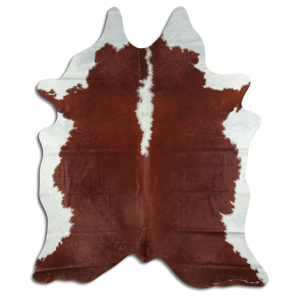Hereford 3 - 4 M Classe B