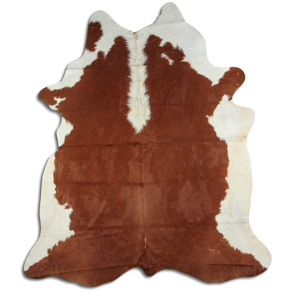 Hereford 3 - 4 M Grade B