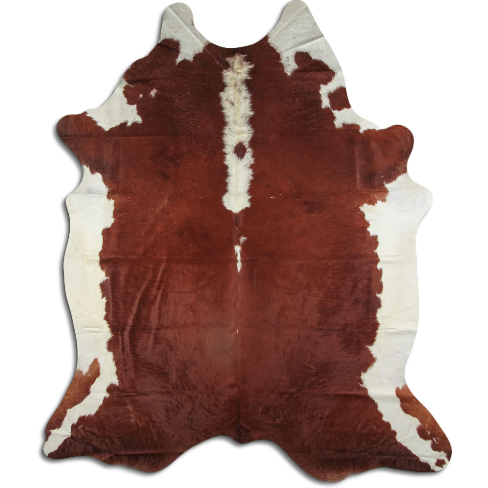 Hereford 3 - 4 M Grade B