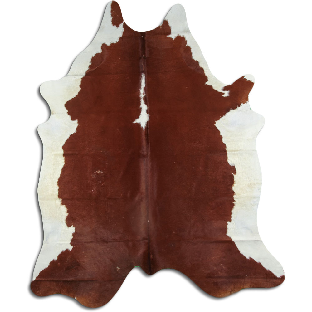 Hereford 3 - 4 M Grade B