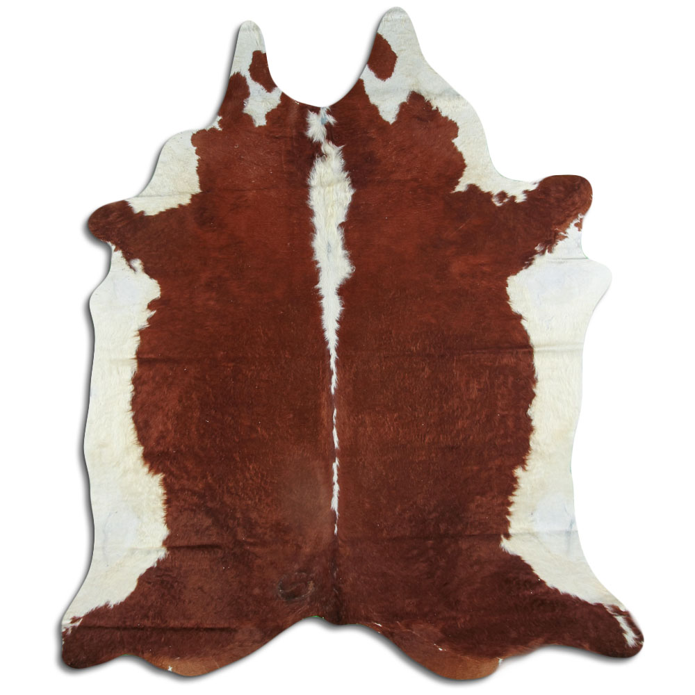 Hereford 3 - 4 M Grade B