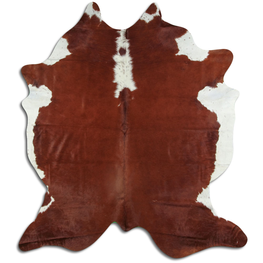 Hereford 3 - 4 M Grade B