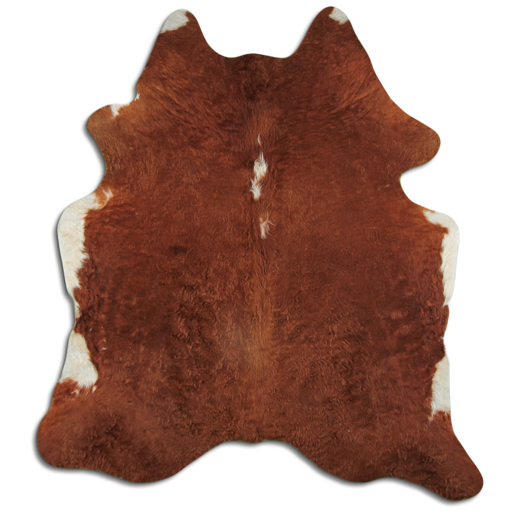 Hereford 3 - 4 M Classe B
